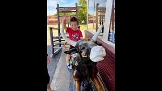 Cowboy (Jamie's Song)